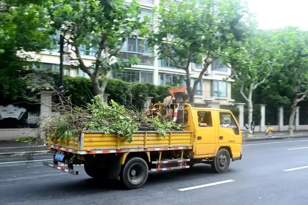 微信图片_2026-07-13_085333_466.jpg