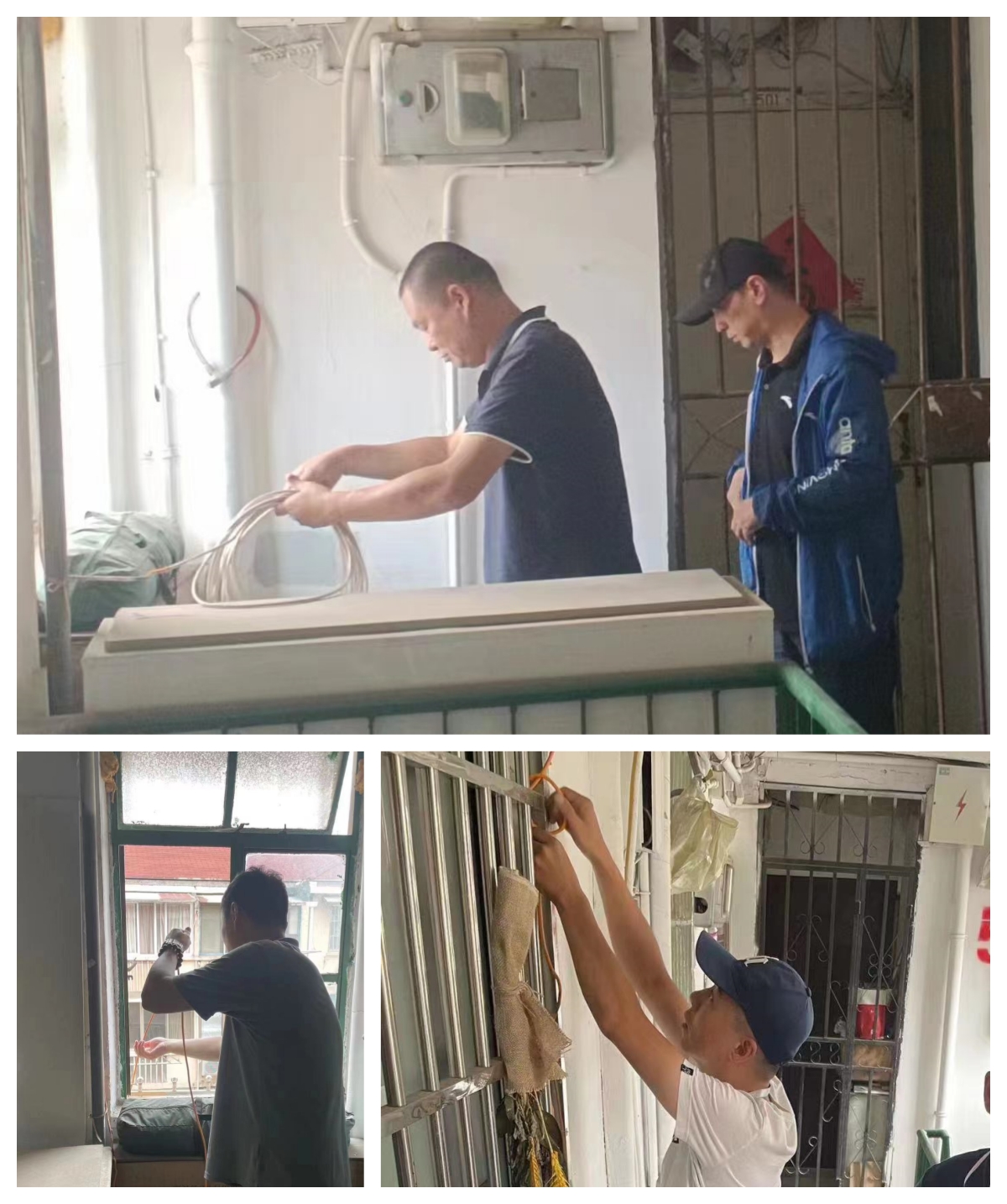 枫林.jpg