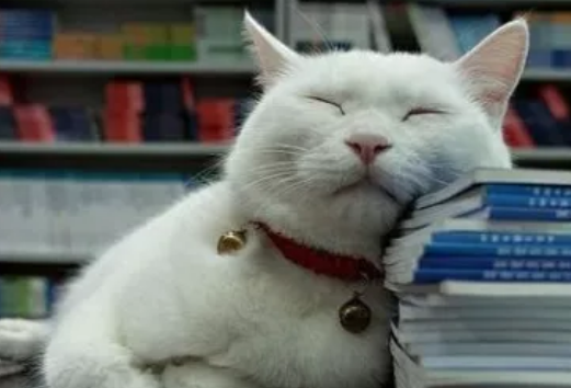 微信截图_20211012160745.png
